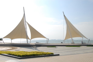 小麦淀粉浆酿酒工艺