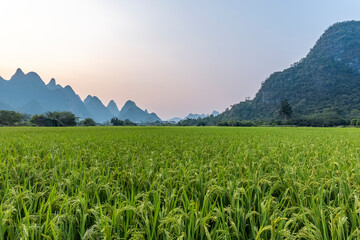 侠客风云传降龙十八掌