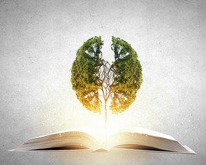 龙族五本书每一本的出版时间是什么？